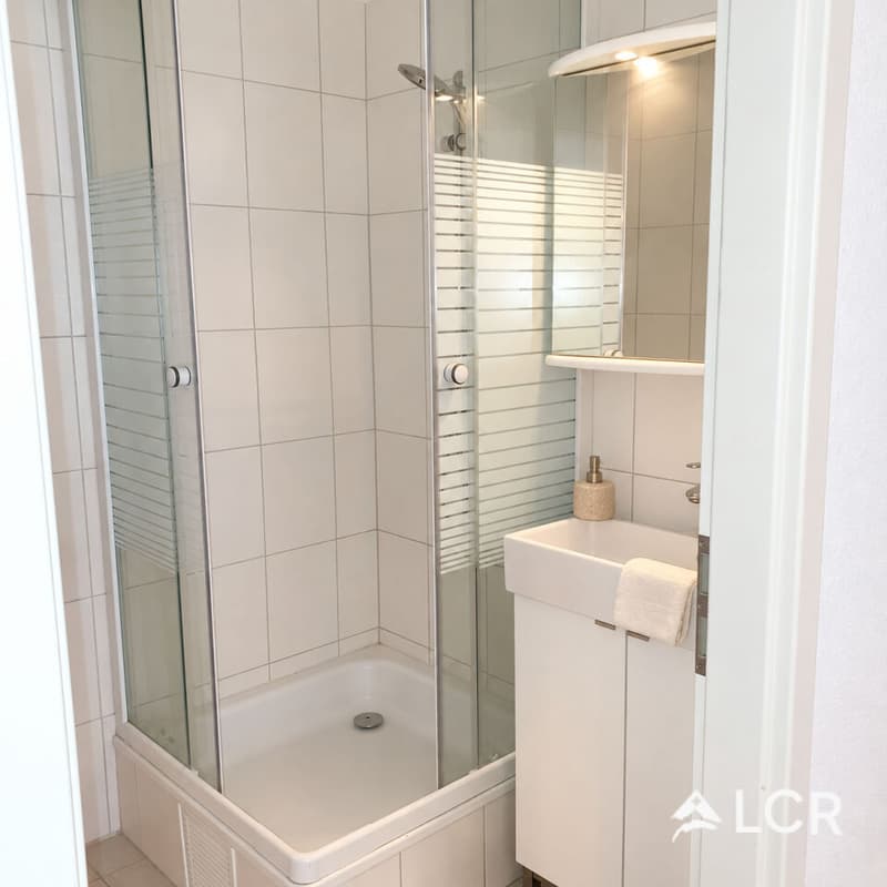 Bel appartement de 3.5P / 2 CHB / 1 SDB (6)