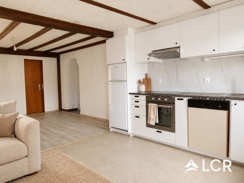 Bel appartement de 2.5 P / 1 CHB / 1 SDB (2)
