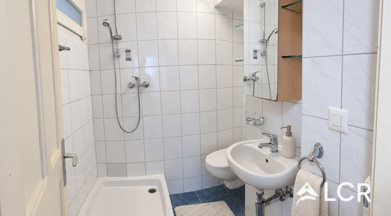 Bel appartement de 2.5P / 1 CHB / 1 SDB (7)