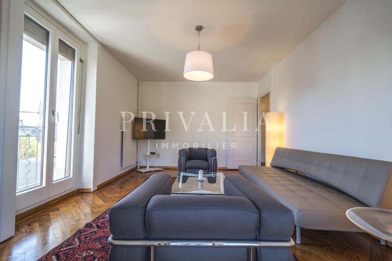 Bel appartement meublé avec superbe vue sur le Rhône et la ville (8)