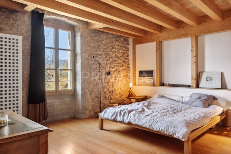 Objet rare : Magnifique corps de ferme rénové à Sézegnin (6)