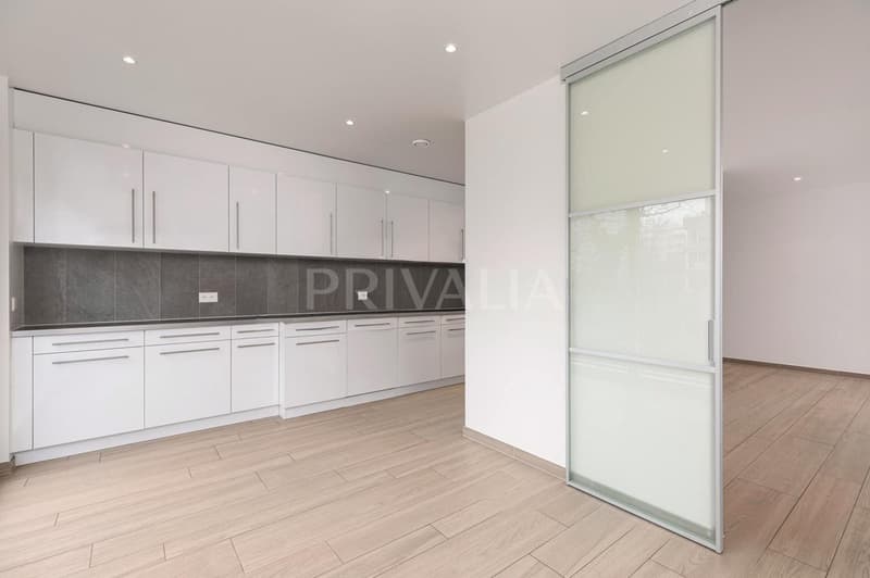 Spacieux appartement contemporain dans un quartier résidentiel à Conches (4)