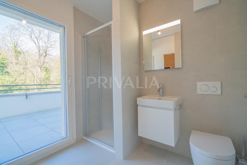 Superbe attique en duplex rénové avec terrasses et vue dégagée (5)