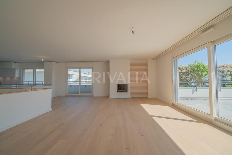 Superbe attique en duplex rénové avec terrasses et vue dégagée (3)