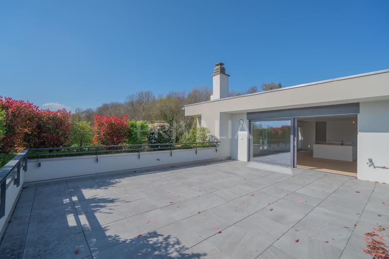 Superbe attique en duplex rénové avec terrasses et vue dégagée (12)