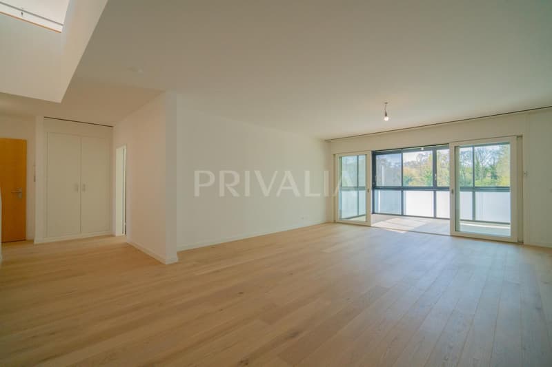 Superbe attique en duplex rénové avec terrasses et vue dégagée (6)