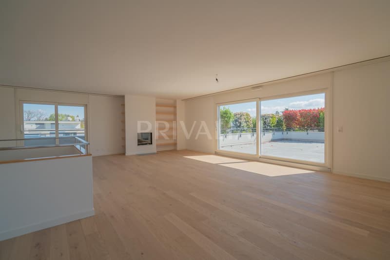 Superbe attique en duplex rénové avec terrasses et vue dégagée (2)
