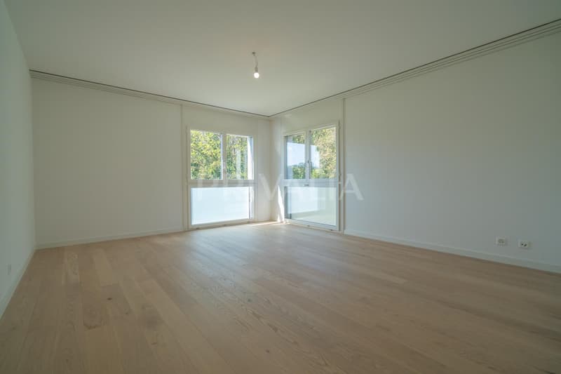 Superbe attique en duplex rénové avec terrasses et vue dégagée (9)