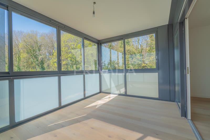 Superbe attique en duplex rénové avec terrasses et vue dégagée (7)
