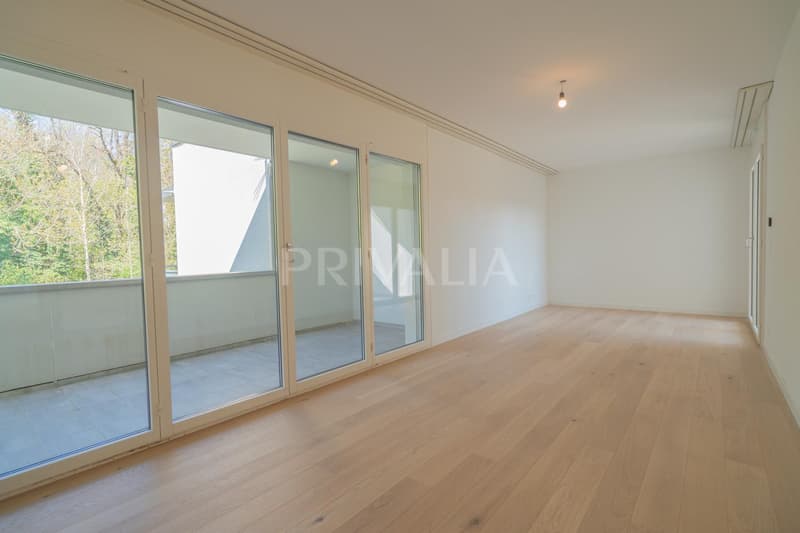 Superbe attique en duplex rénové avec terrasses et vue dégagée (8)