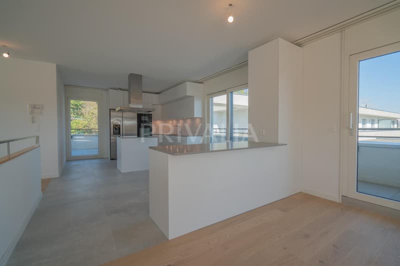 Superbe attique en duplex rénové avec terrasses et vue dégagée (4)