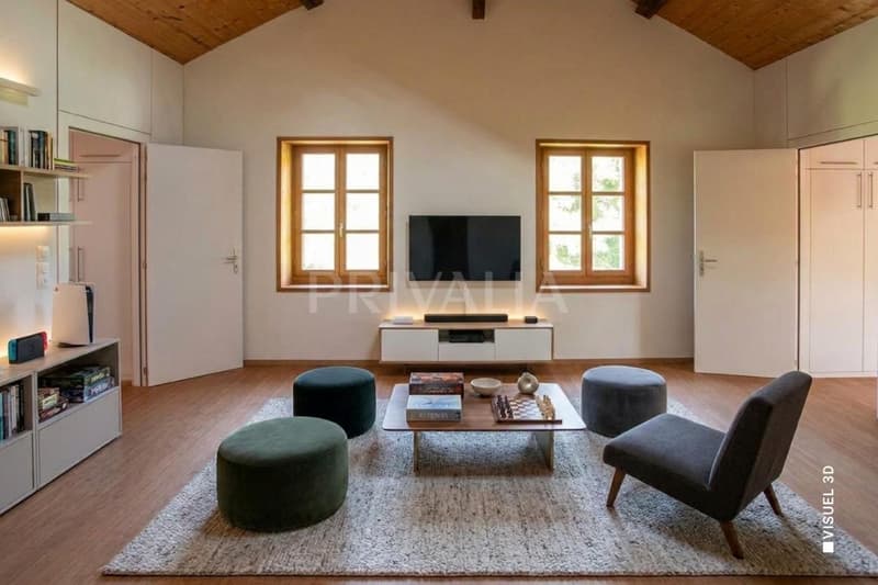 Belle maison mitoyenne villageoise au coeur de Troinex (4)