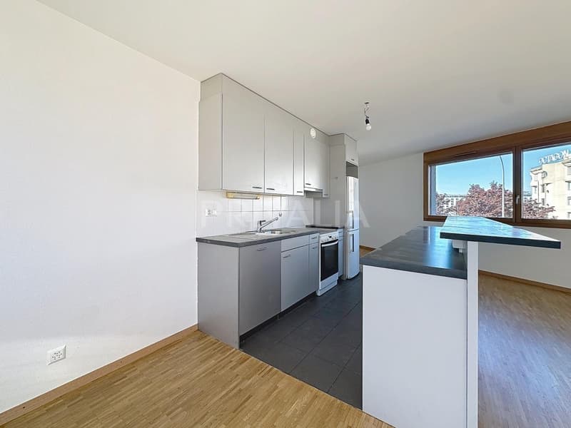 Spacieux appartement au coeur d'un immeuble moderne et sécurisé avec loggia, à proximité des Organisations Internationales (2)