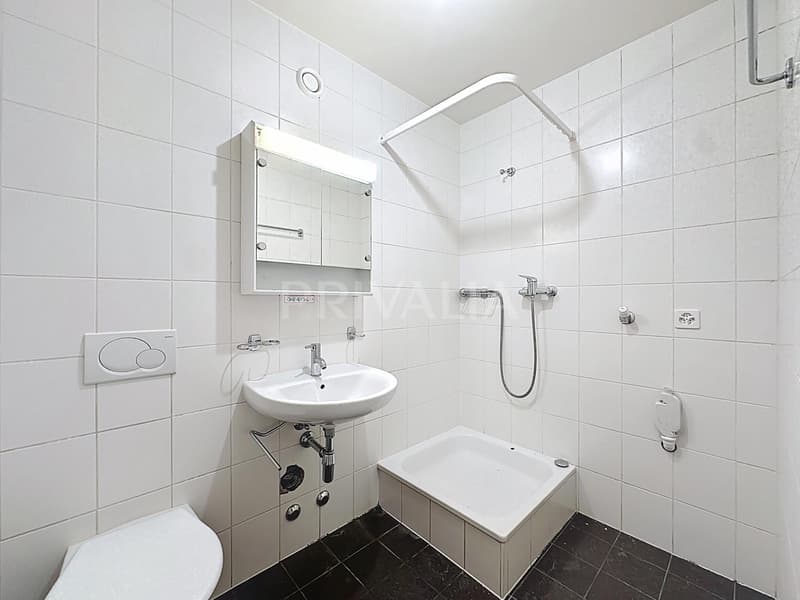 Bel appartement traversant à proximité des organisations internationales (4)