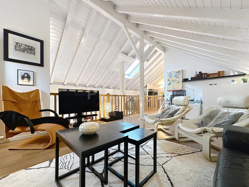 Grand duplex rénové de 235 m2 - Bernex (8)