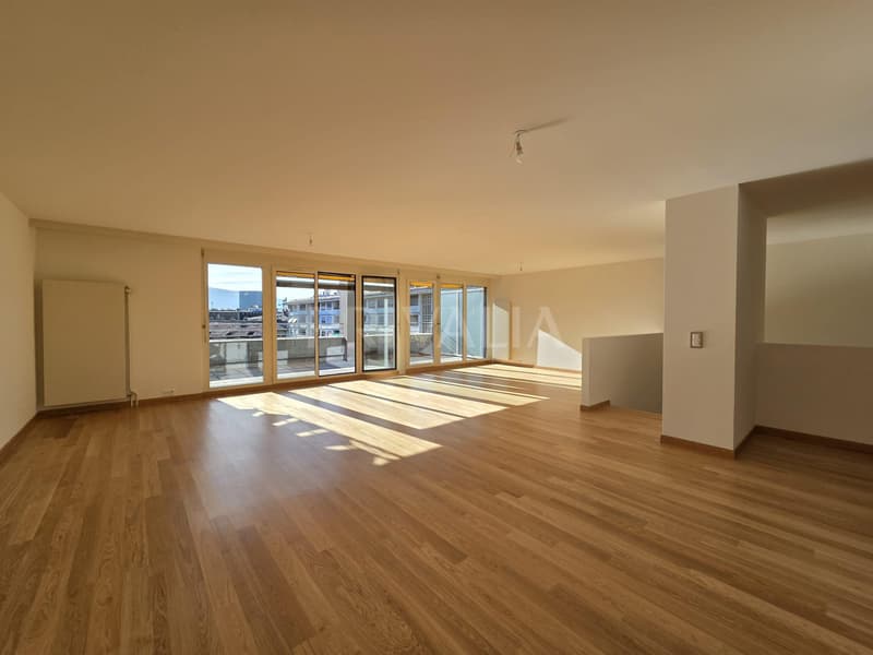 Duplex d'exception avec terrasse panoramique en plein coeur du centre ville (2)