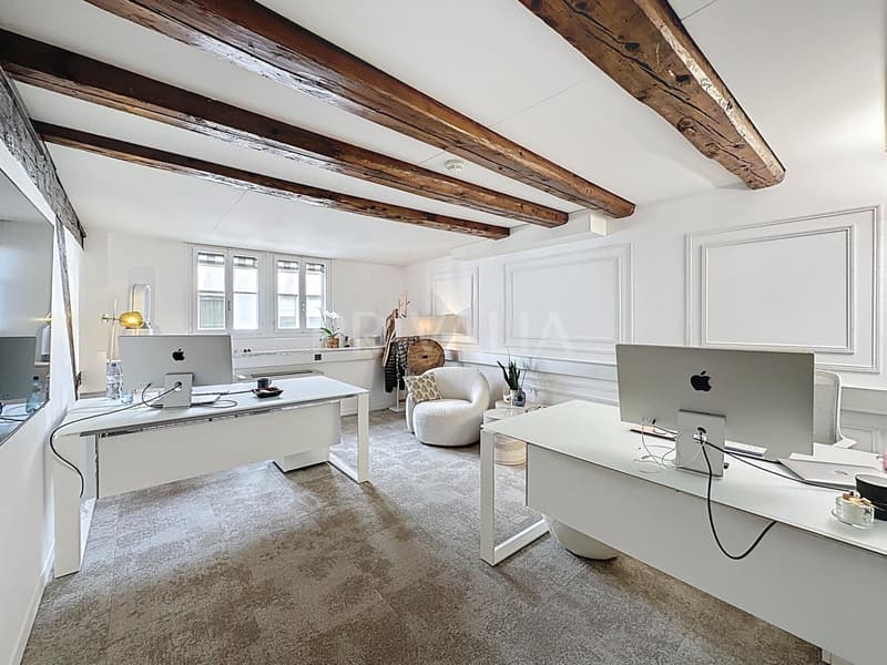 Exceptionnel : Magnifiques bureaux traversants au Quai des Bergues (3)