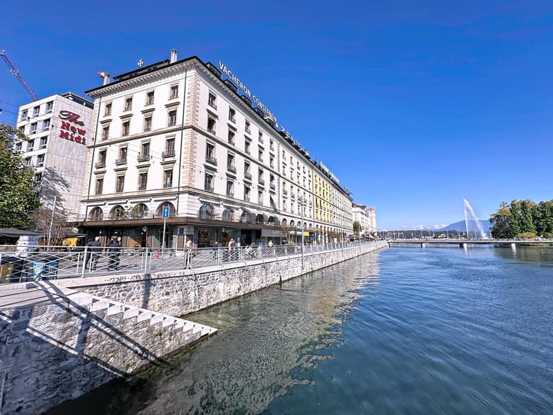 Exceptionnel : Magnifiques bureaux traversants au Quai des Bergues (2)