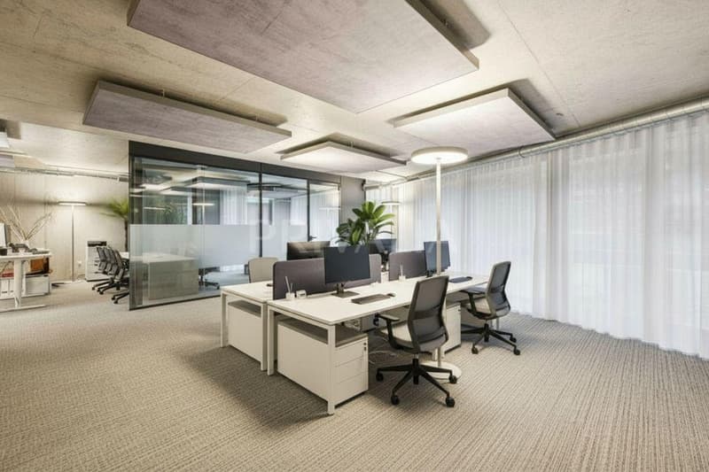 En exclusivité : Arcade commerciale louée de 197 m² PPE au coeur de Carouge (3)