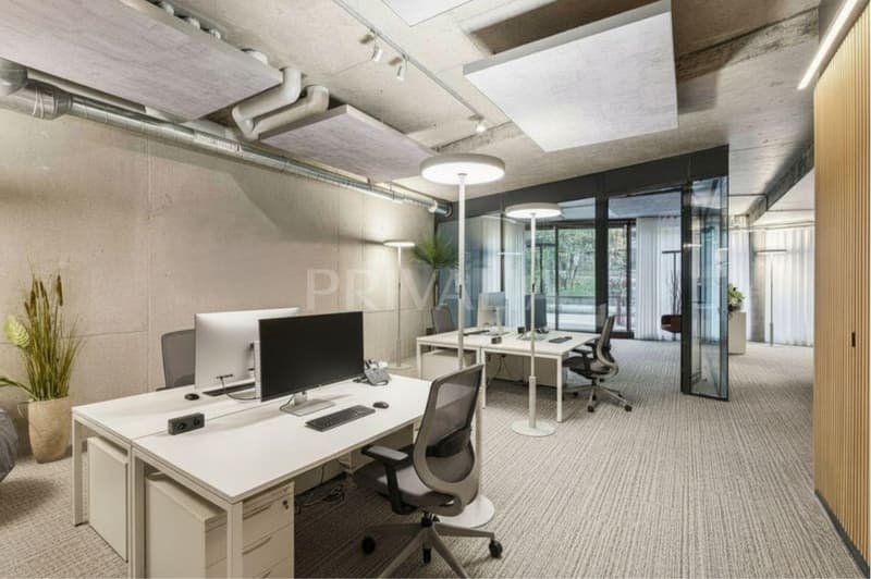 En exclusivité : Arcade commerciale louée de 197 m² PPE au coeur de Carouge (2)