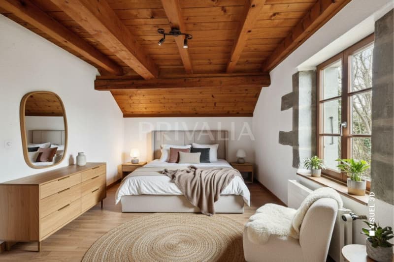 Magnifique maison de caractère au coeur du village de Cartigny (4)