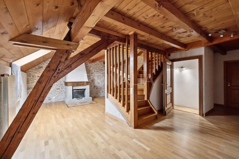 Magnifique maison de caractère au coeur du village de Cartigny (5)
