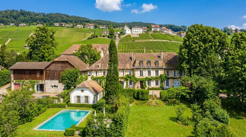 Domaine d'exception au coeur des vignes (2)