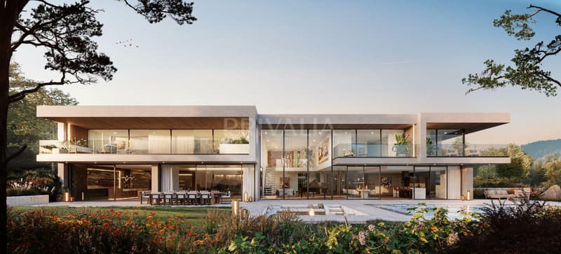 Projet neuf d'exception avec vue panoramique sur le lac Léman ? Dully (2)