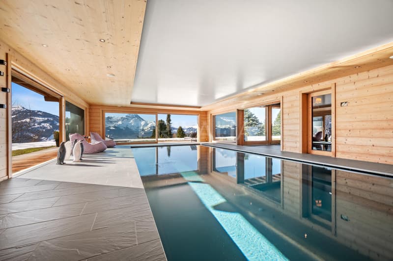 Chalet d'exception ski in ? ski out aux portes de Villars (3)