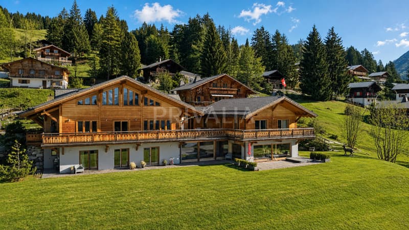Chalet d'exception ski in ? ski out aux portes de Villars (1)