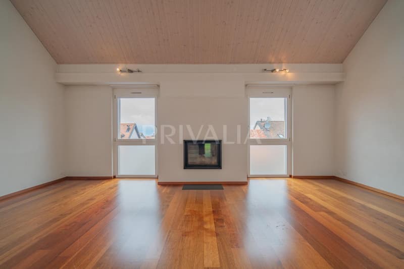 Superbe appartement lumineux au coeur de Bernex (3)