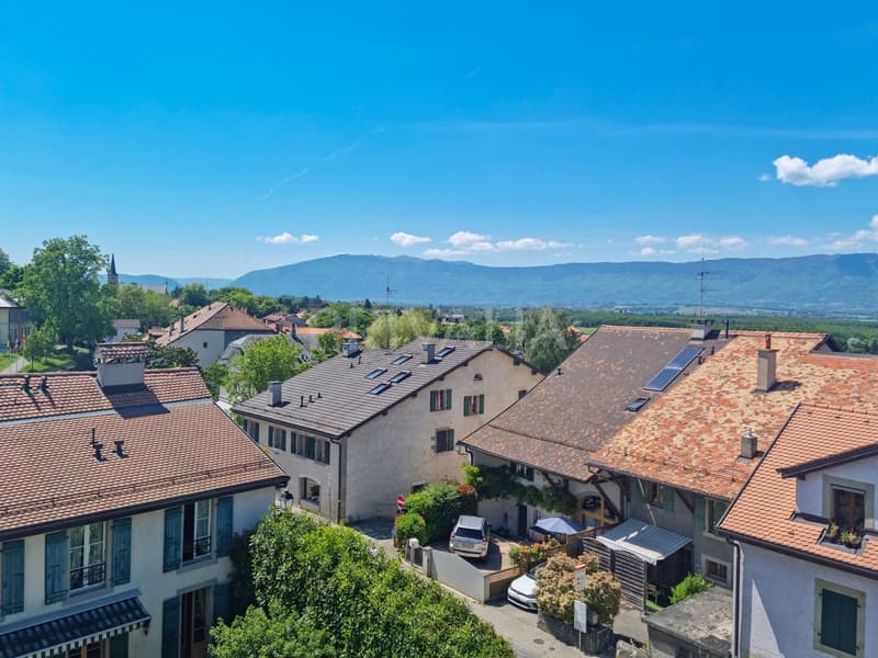 Superbe appartement lumineux au coeur de Bernex (11)