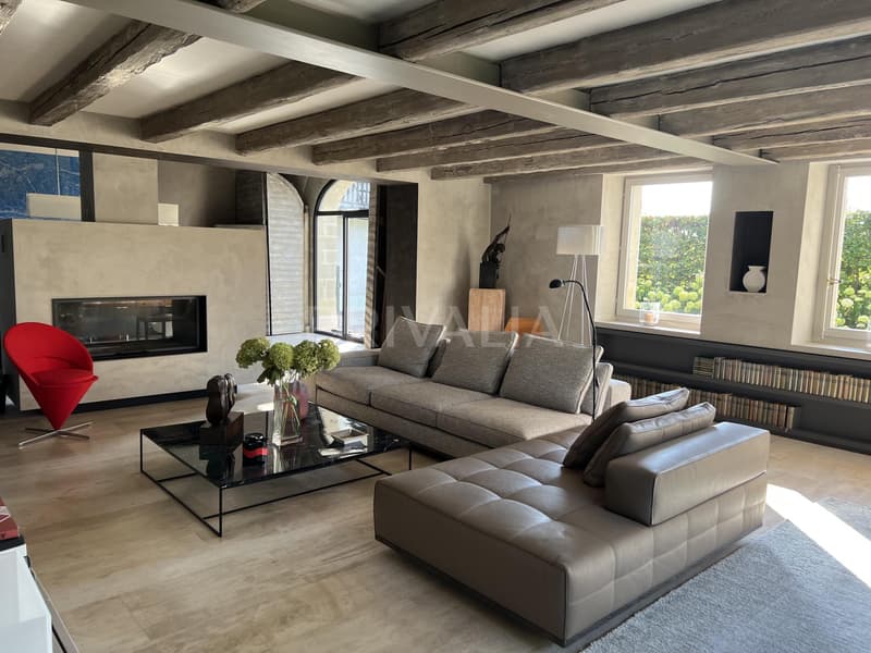 Unique : Élégant domaine alliant authenticité et design contemporain (3)