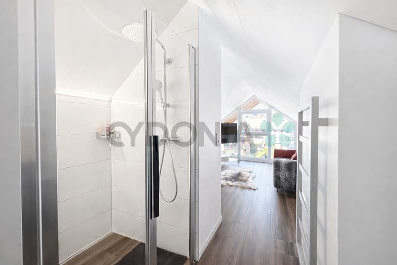 EN EXCLUSIVITÉ Attique d'exception en duplex de plus de 275m² avec prestations haut de gamme (7)