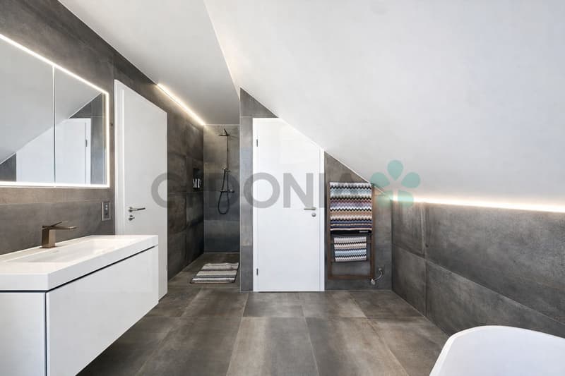 EN EXCLUSIVITÉ Attique d'exception en duplex de plus de 275m² avec prestations haut de gamme (5)