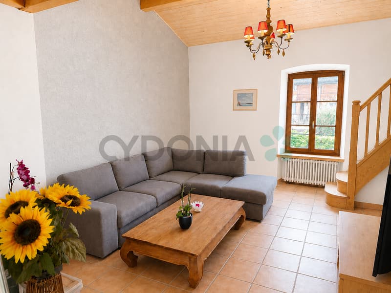 Bardonnex ? Duplex 5 pièces avec mezzanine de 193 m² (3)
