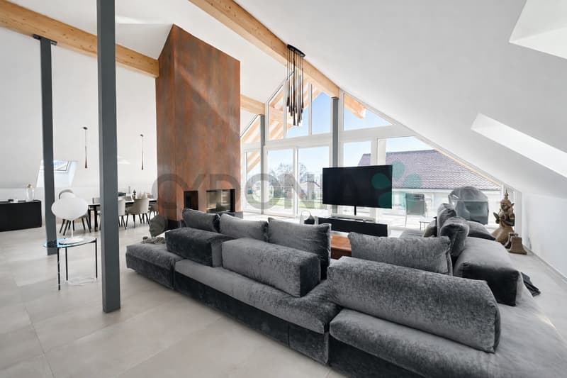 EN EXCLUSIVITÉ Attique d'exception en duplex de plus de 275m² avec prestations haut de gamme (2)