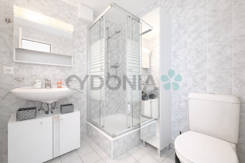 En exclusivité ! Duplex en Attique à deux pas du lac (8)
