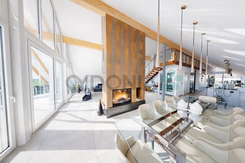 EN EXCLUSIVITÉ Attique d'exception en duplex de plus de 275m² A 15 minutes de Nyon (3)