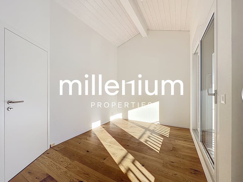 Villa neuve mitoyenne avec jardin (9)