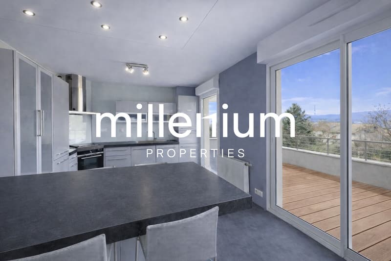 Superbe appartement aux portes de Genève (5)