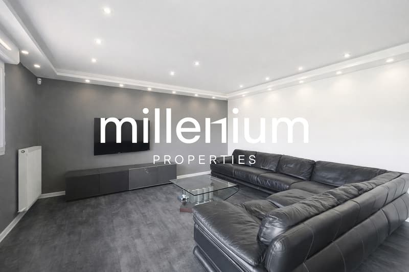Superbe appartement aux portes de Genève (4)