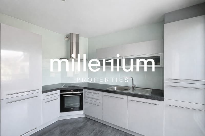 Superbe appartement aux portes de Genève (3)