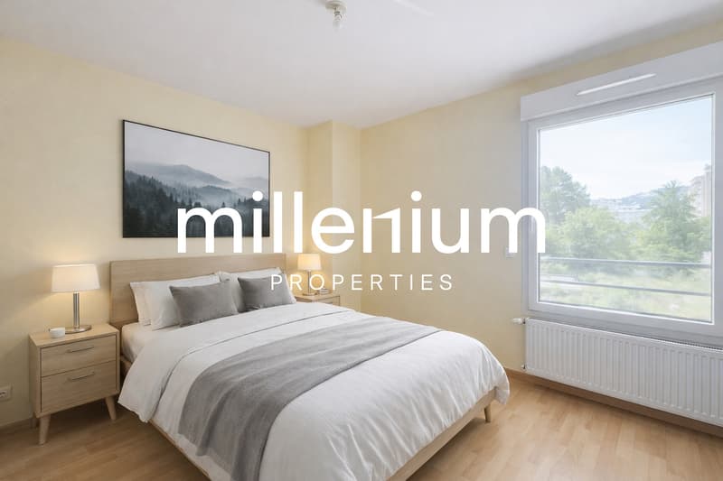 Superbe appartement aux portes de Genève (7)