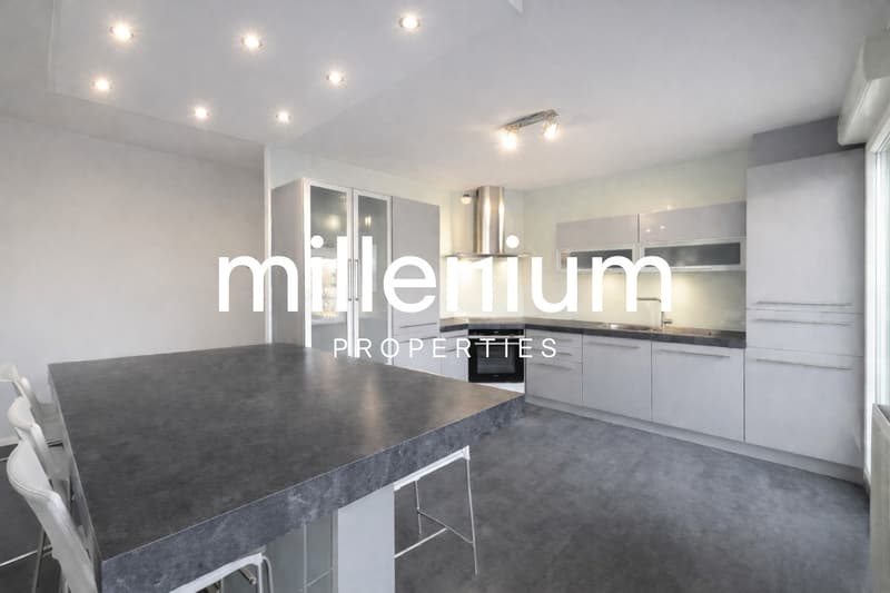 Superbe appartement aux portes de Genève (2)