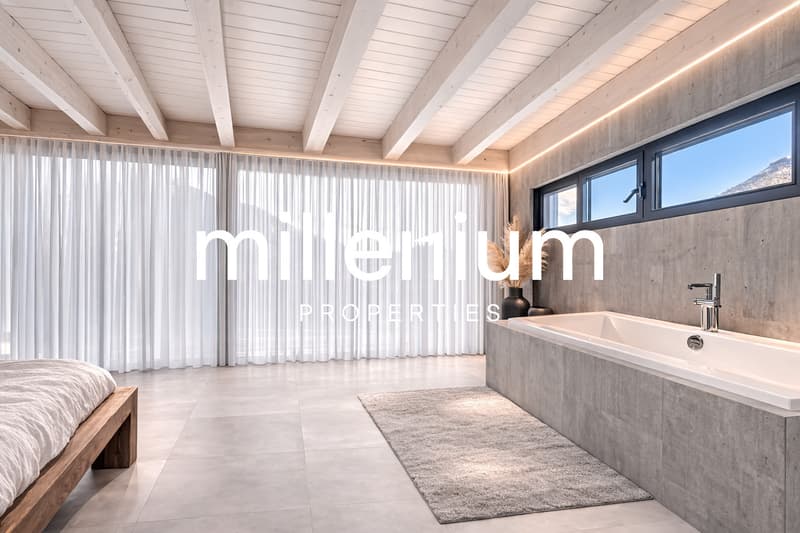 Magnifique maison moderne à Saxon (5)