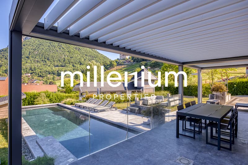 Magnifique Villa à Menthon Saint Bernard, proximité immédiate d'Annecy (3)