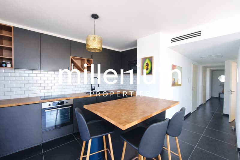 Exceptionnel appartement avec vue panoramique au coeur de Montpellier (4)