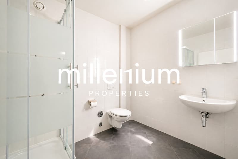 Bel appartement contemporain avec balcon (5)