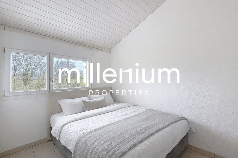 Maison familiale avec jardin à Bellevue (8)
